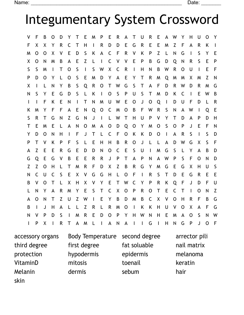 Integumentary System Crossword Word Search WordMint