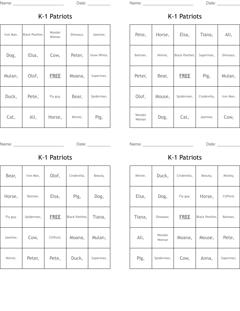 K1 Patriots Bingo Cards WordMint
