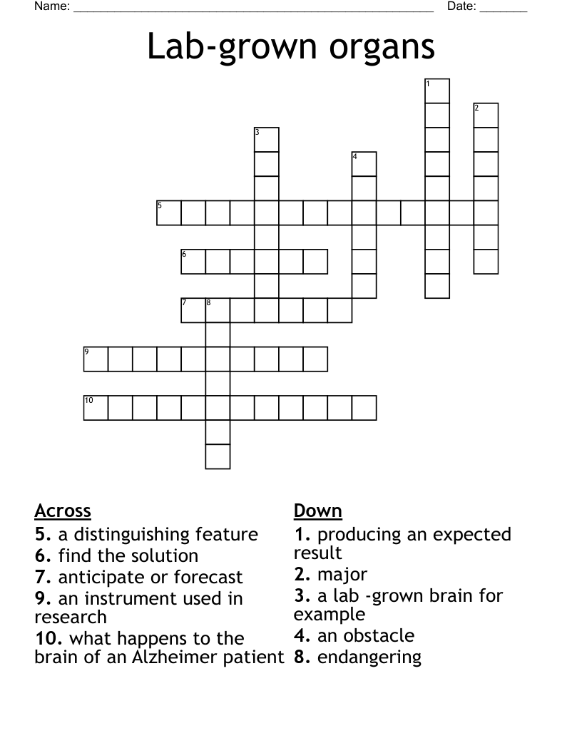 Lab-grown organs Crossword