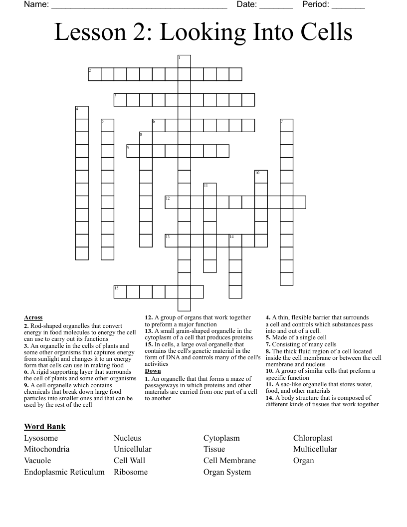 Lesson 2: Looking Into Cells Crossword