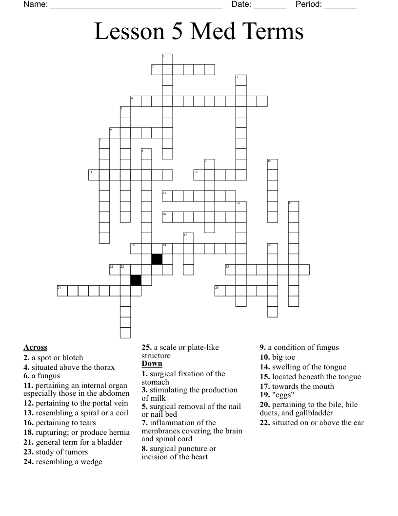 7 Chapter 5 Crossword Puzzle Medical Terminology AjmalJayraj