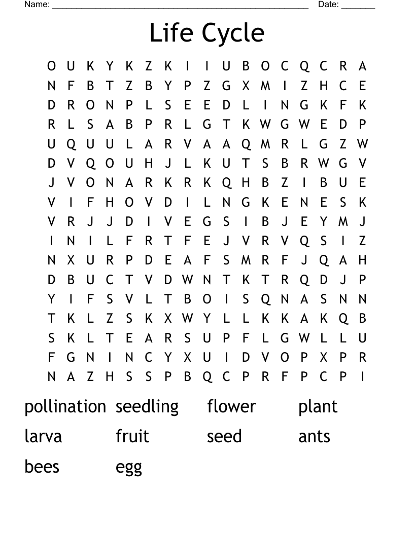 Life Cycle Word Search