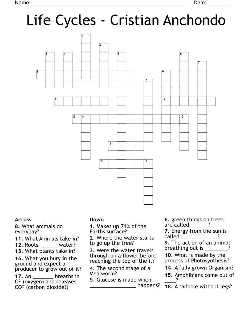 Life Cycles - Cristian Anchondo Crossword