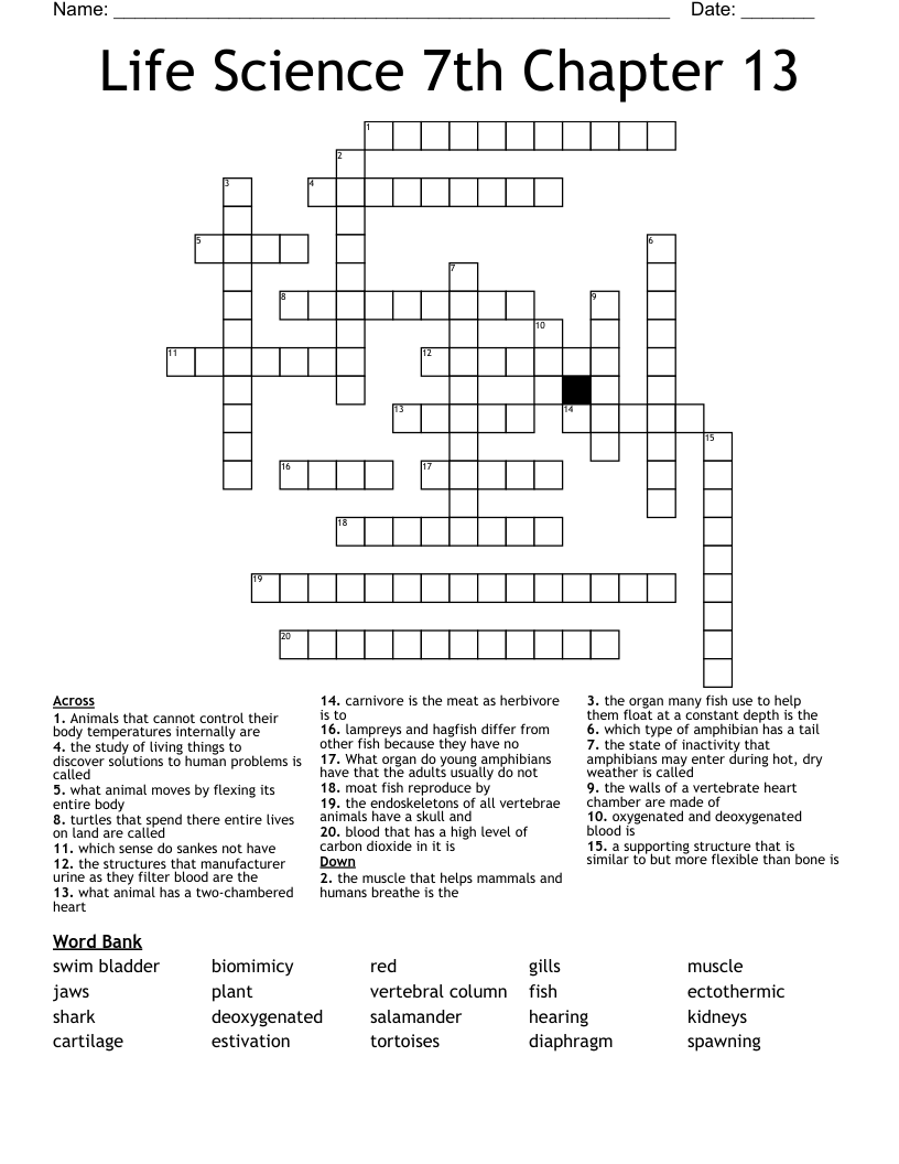 Life Science 7th Chapter 13 Crossword WordMint