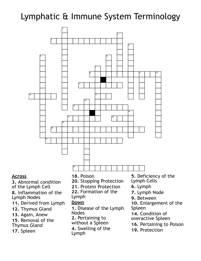 36 Immune System Worksheet Answer Key Support Worksheet