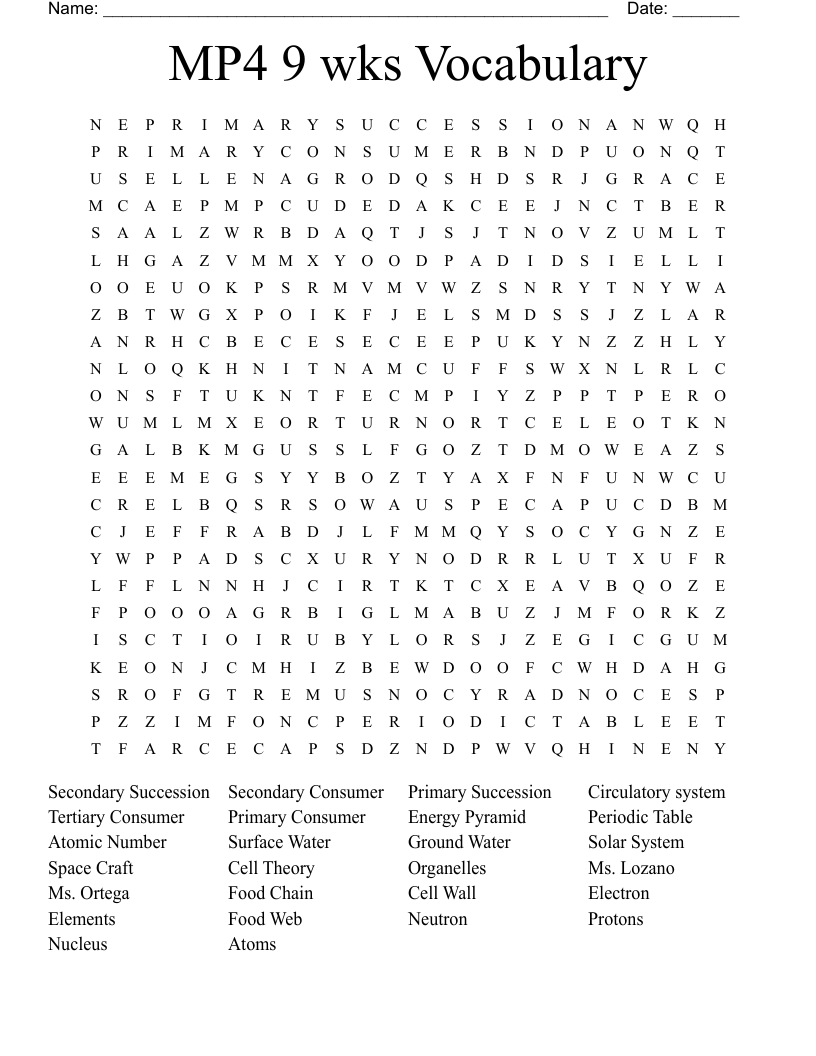 MP4 9 wks Vocabulary  Word Search