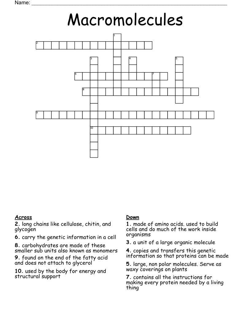Macromolecules Crossword WordMint