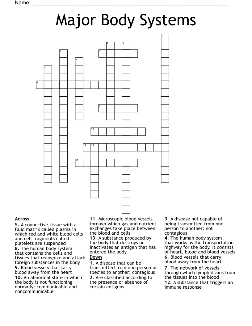 Major Body Systems Crossword