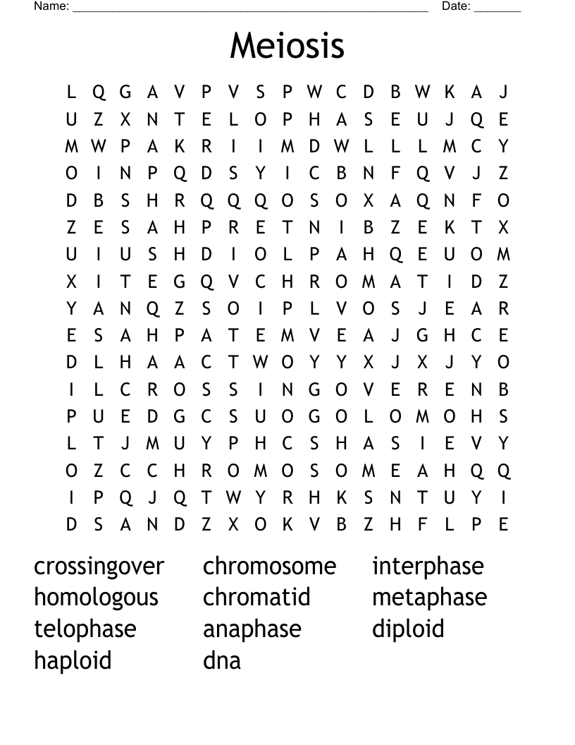 Meiosis Word Search