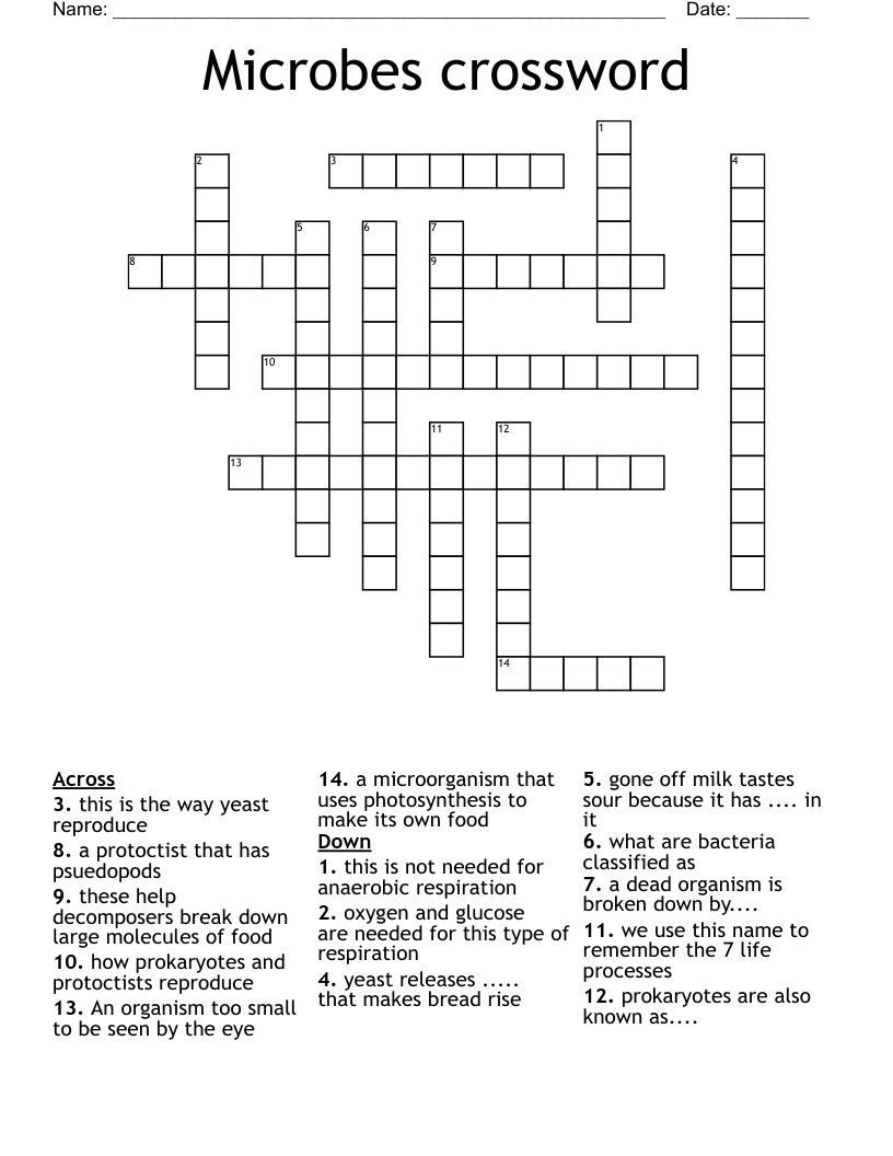 Microbes crossword