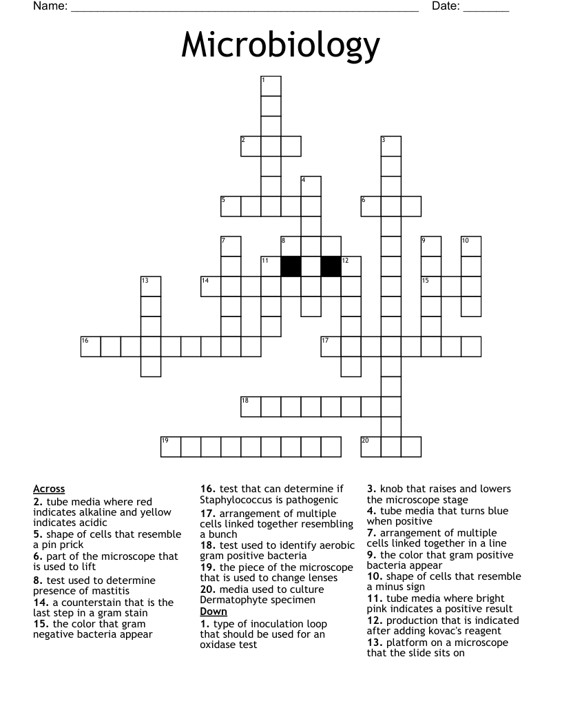 Microbiology Crossword WordMint