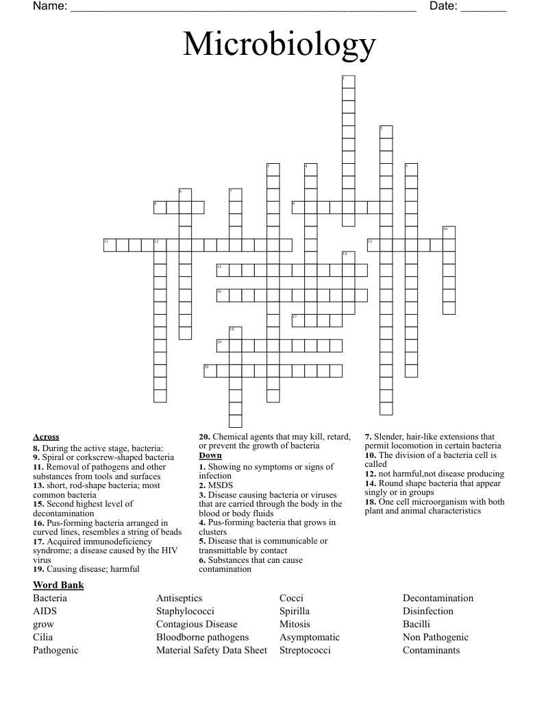 Microbiology Crossword WordMint