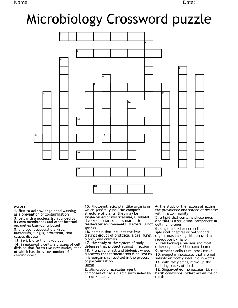 Bacteria Crossword Puzzle Key