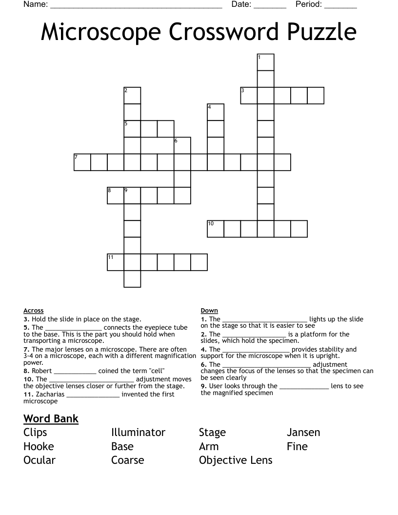 Microscope Crossword Puzzle WordMint