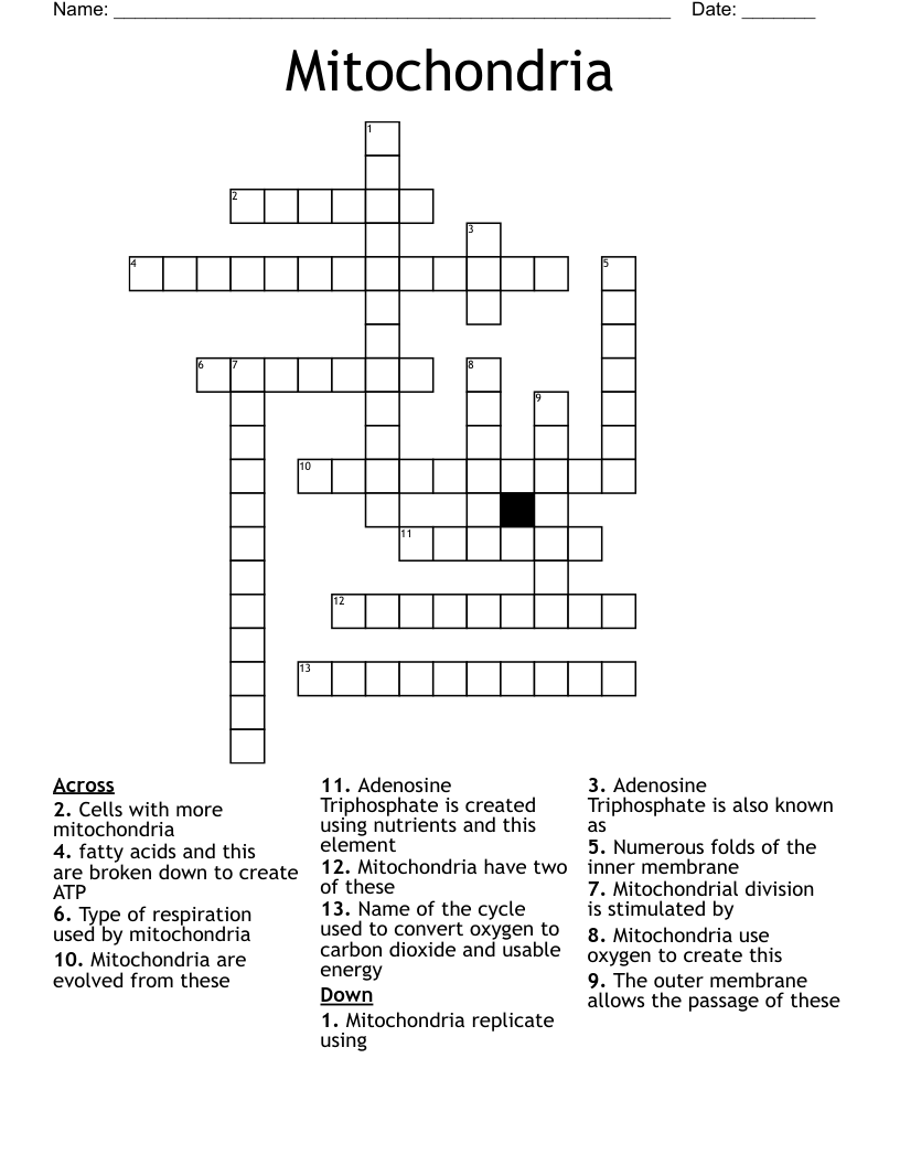 Mitochondria Crossword