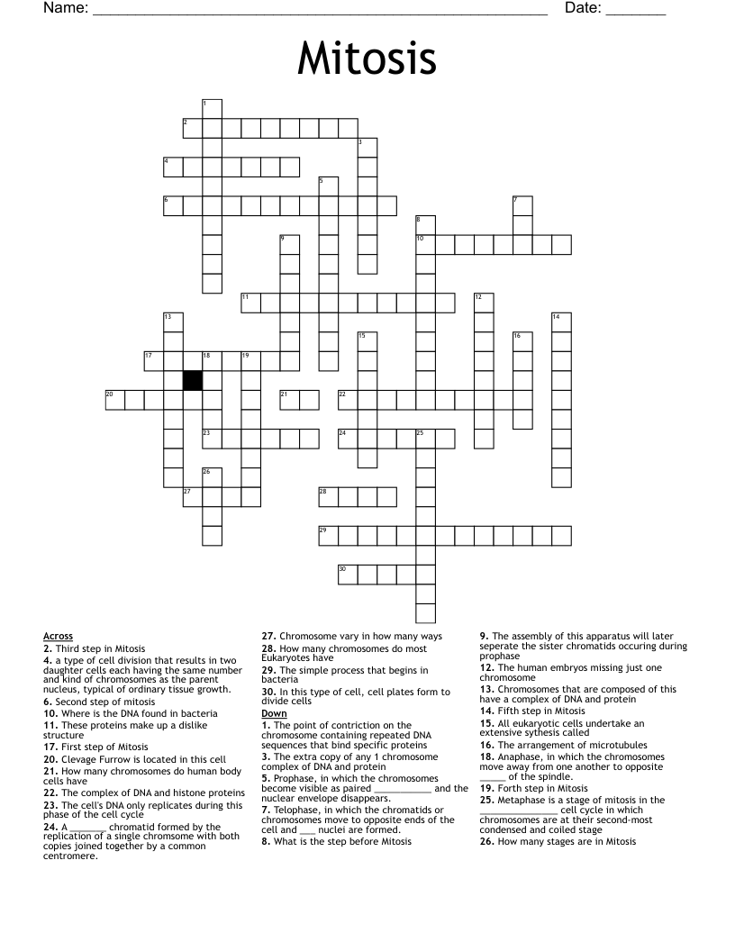 Mitosis Crossword WordMint