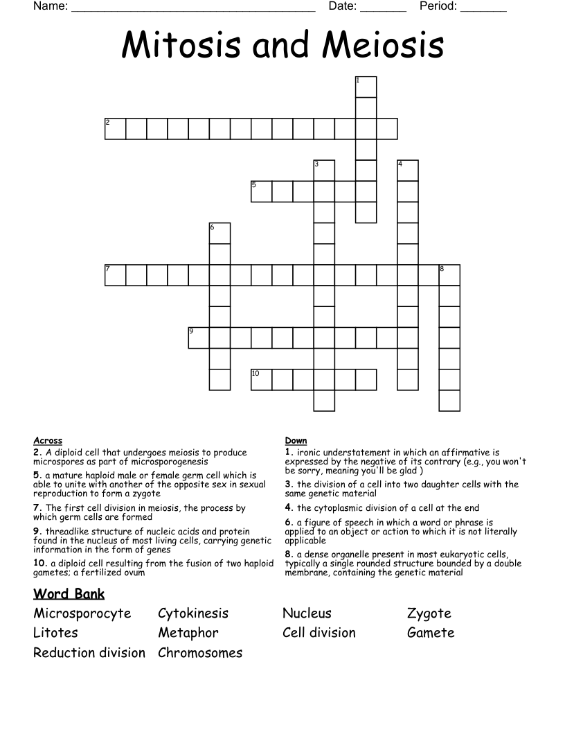 Mitosis and Meiosis Crossword