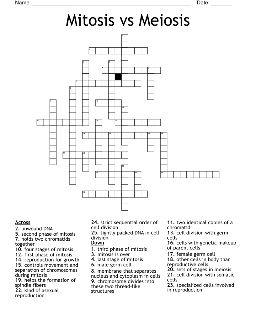 Mitosis Versus Meiosis Worksheet Answer Key Mitosis Vs Meiosis Quiz