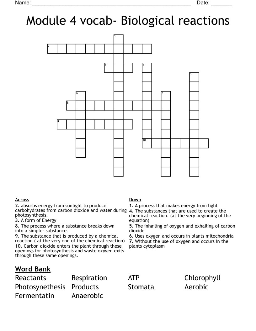Module 4 vocab Biological reactions Crossword WordMint