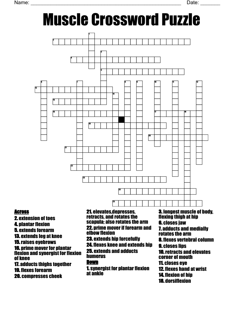 Arm Corners Crossword Clue Brandnewalliedprecision290nonheated
