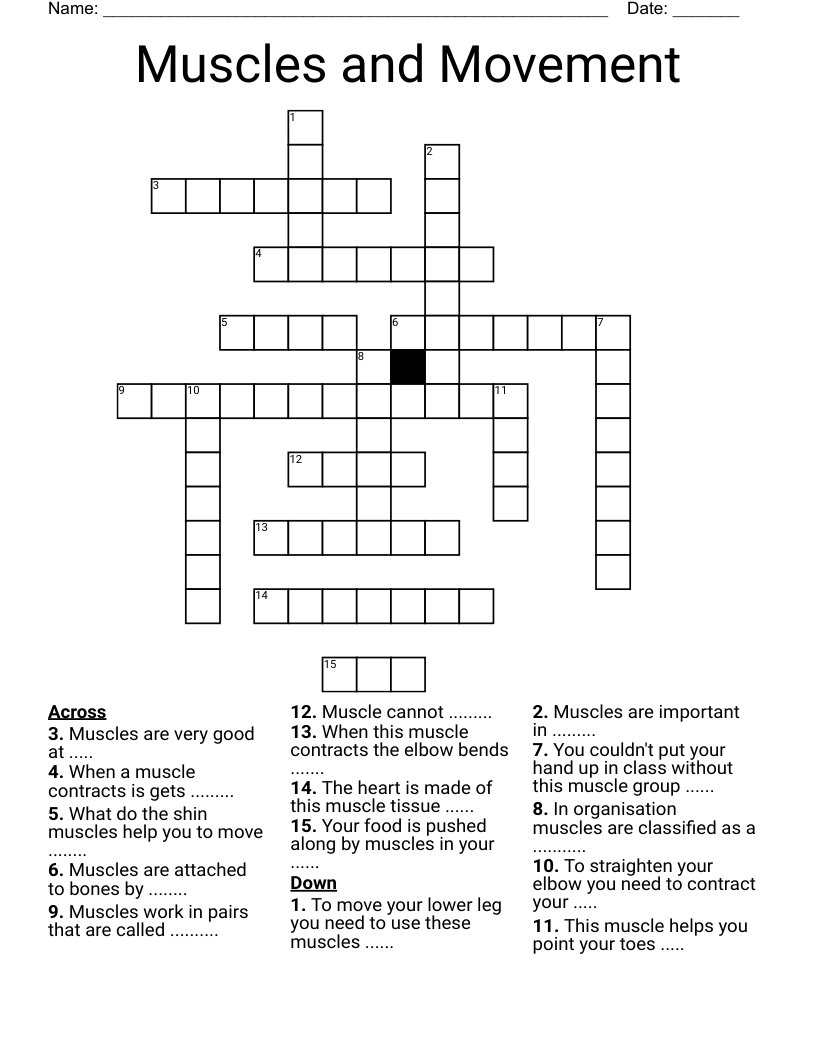 Muscles and Movement