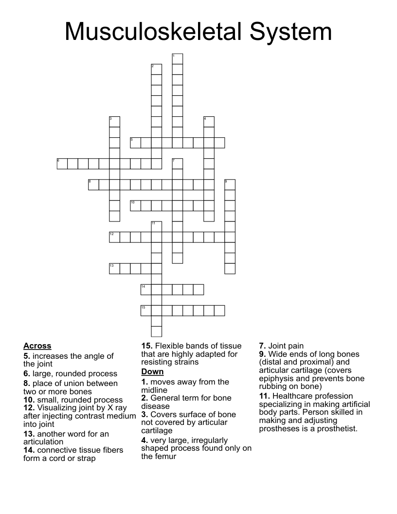 Musculoskeletal System Crossword