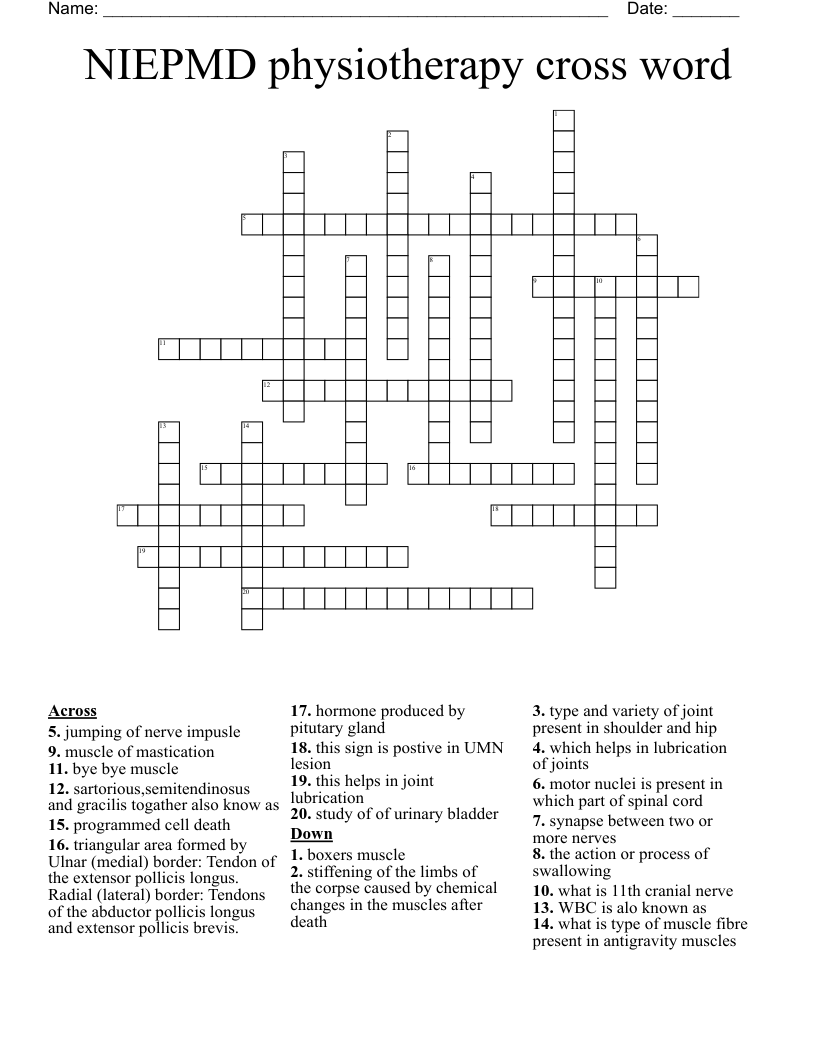 NIEPMD physiotherapy cross word