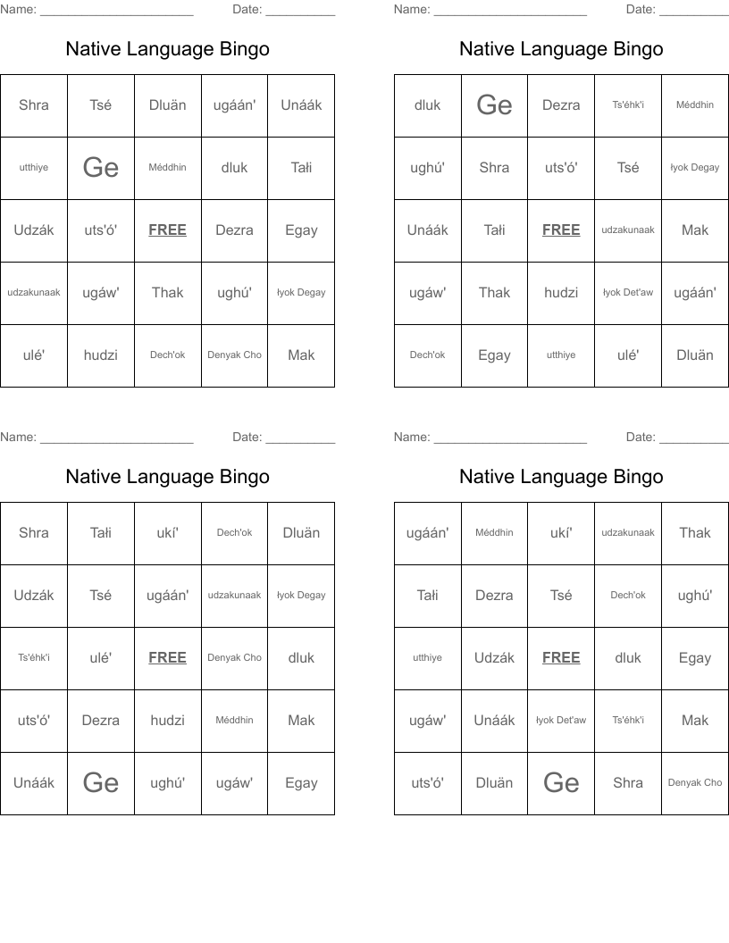Native Language Bingo