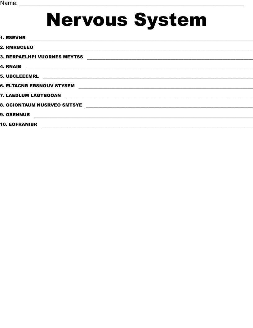 Nervous System Word Scramble