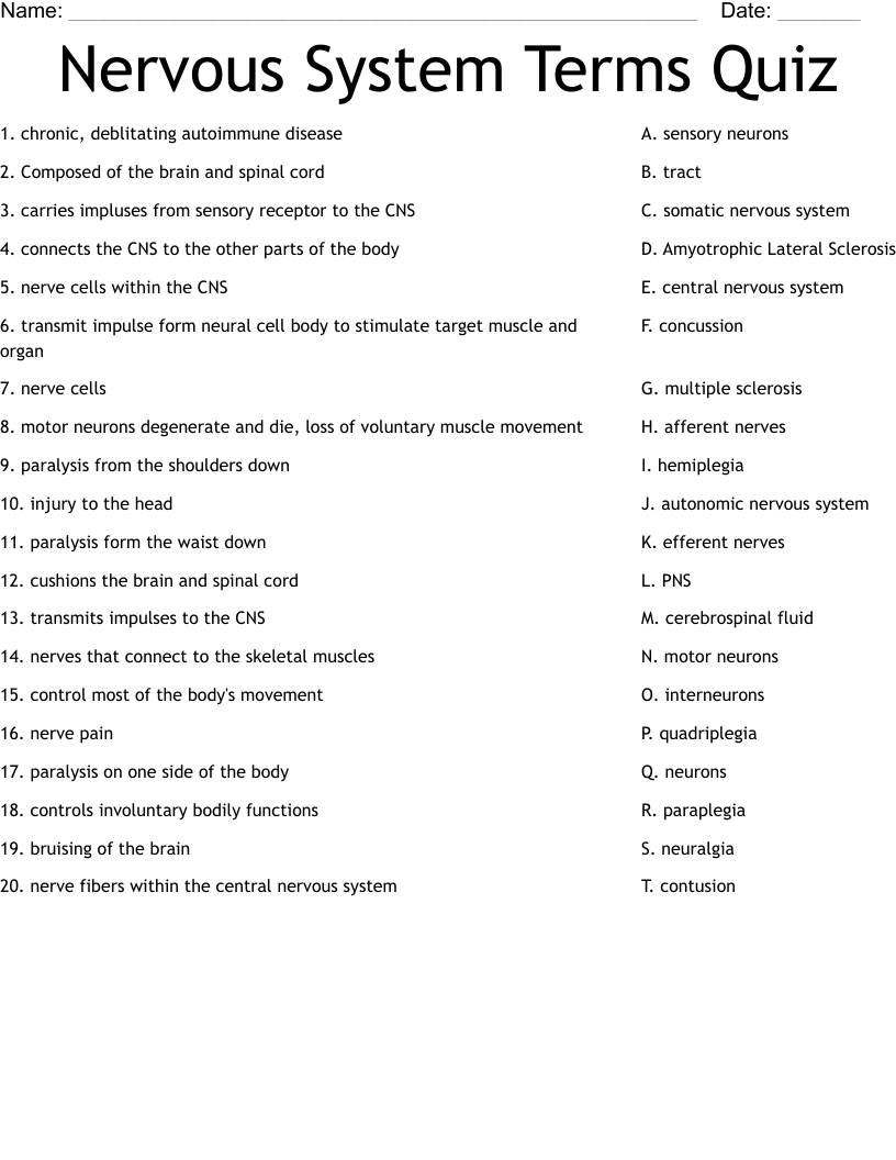 Worksheet For Nervous System Answers Worksheets For Kindergarten