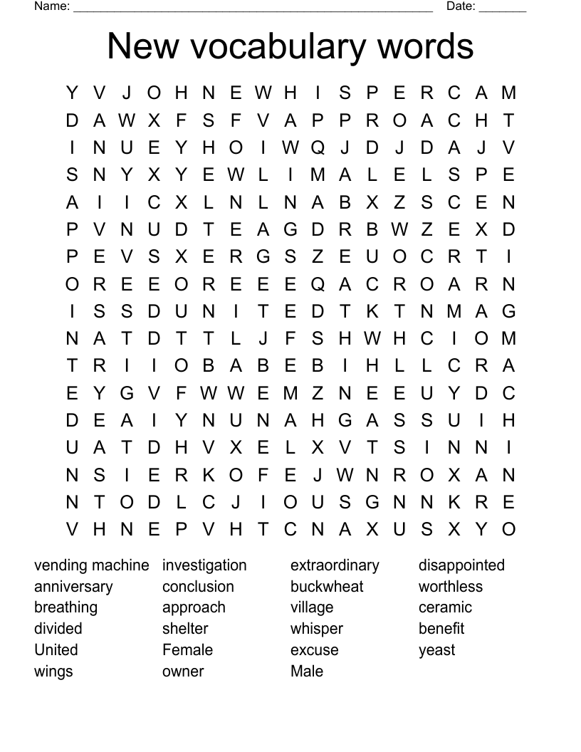 New vocabulary words Word Search