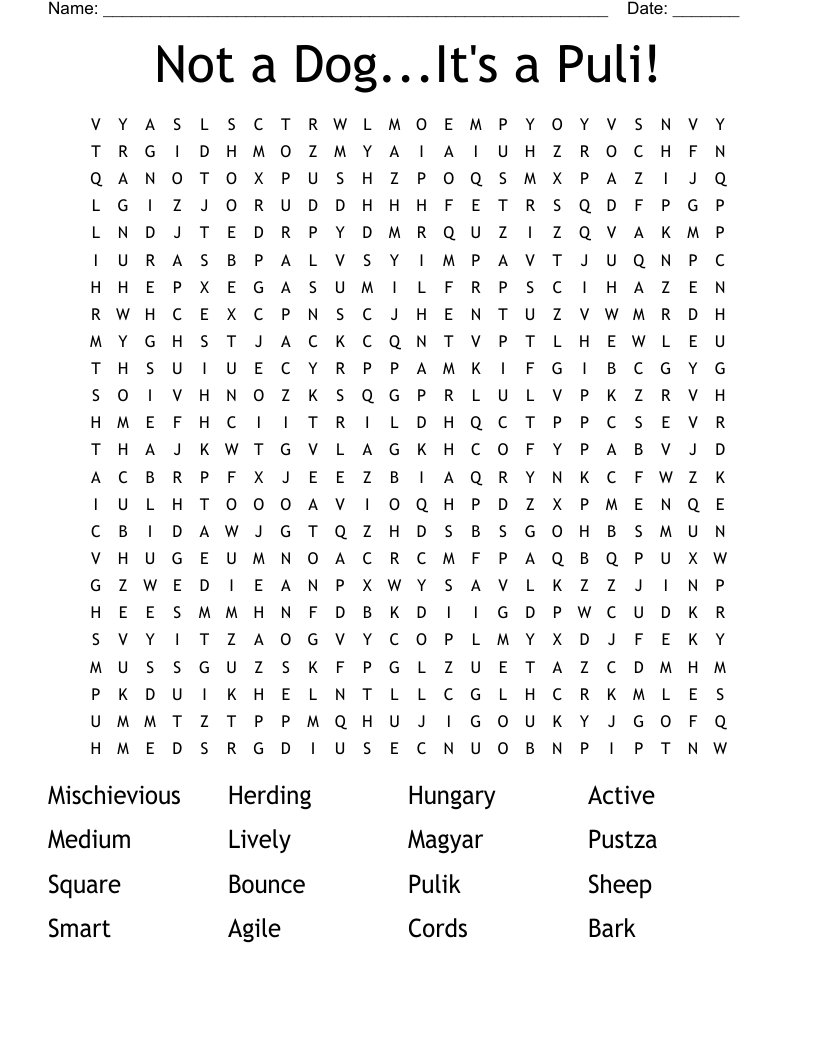 Not a Dog...It's a Puli! Word Search