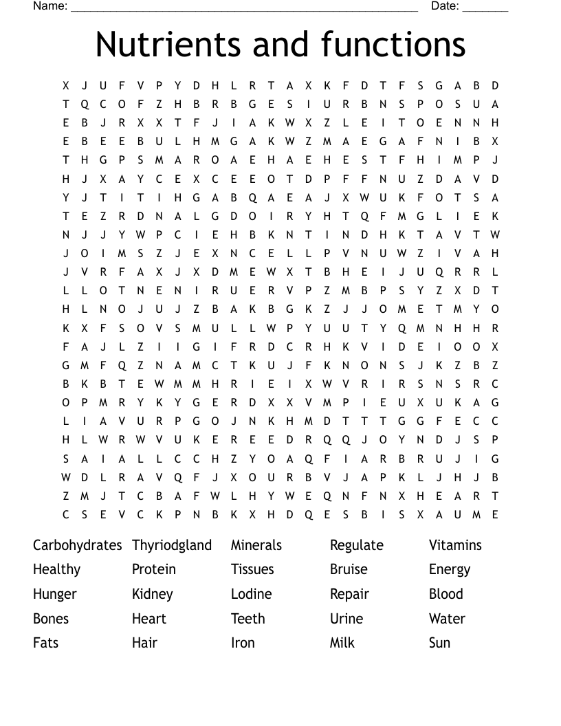 Nutrients and functions Word Search