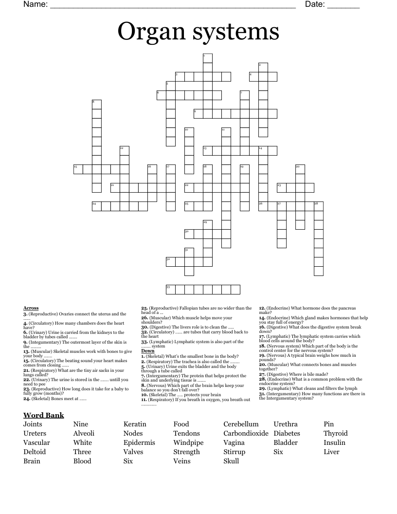 Organ Systems Crossword WordMint