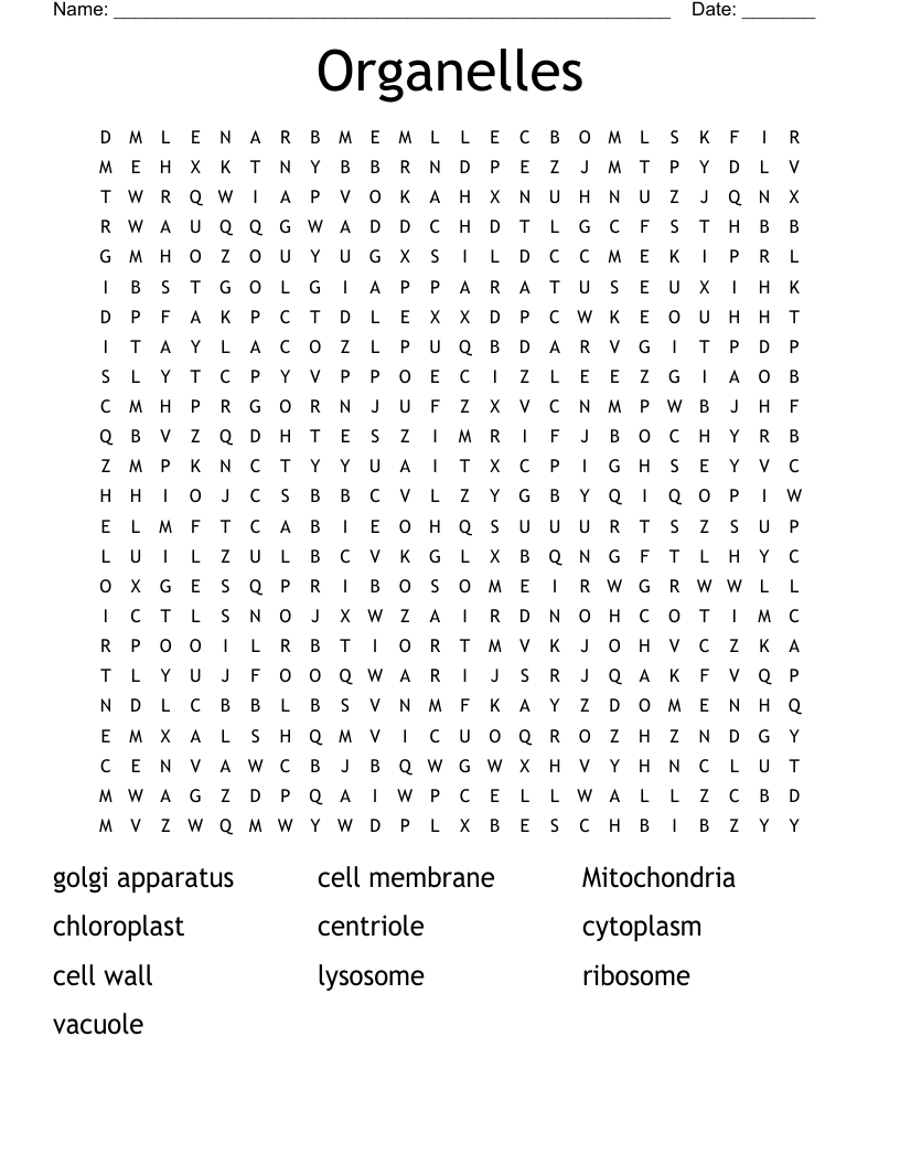 Organelles Word Search
