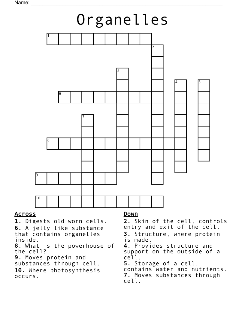 Organelles Crossword