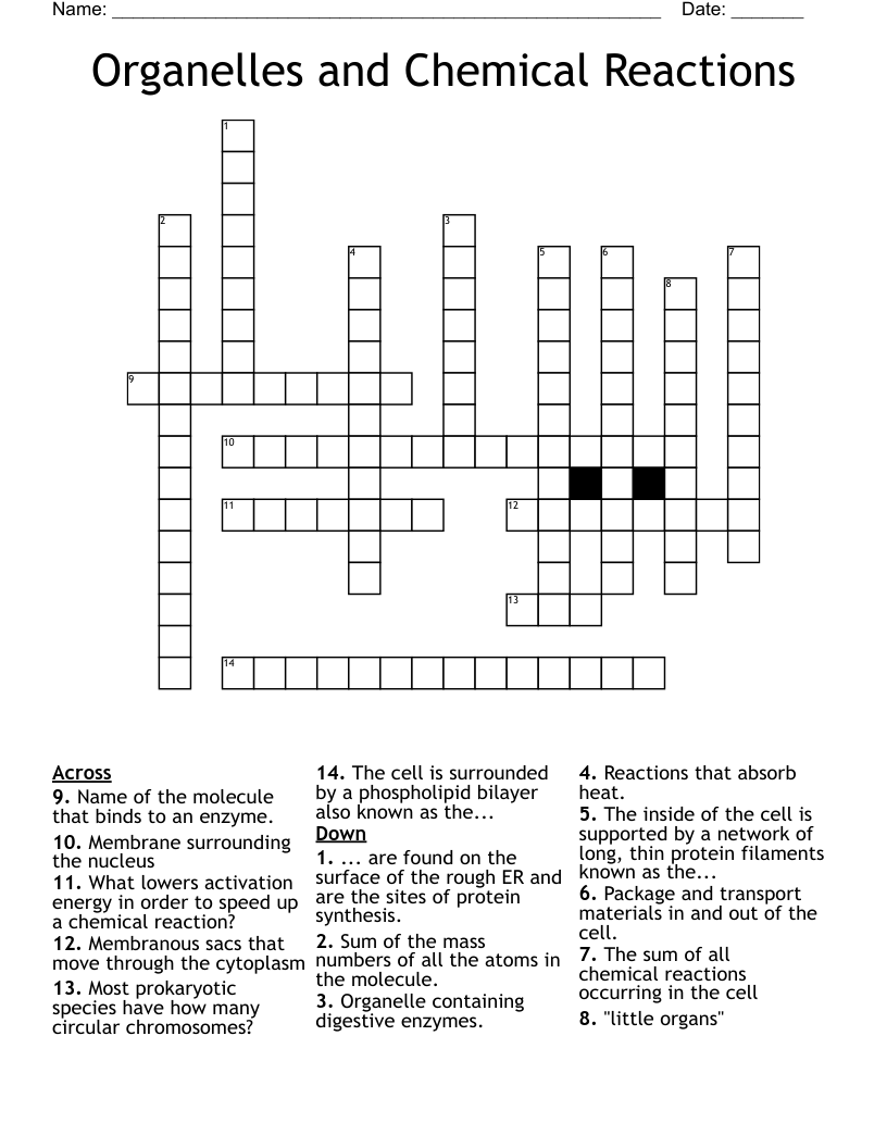 Organelles and Chemical Reactions Crossword WordMint
