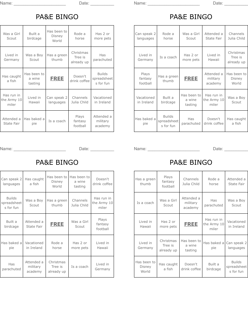 PA&E BINGO