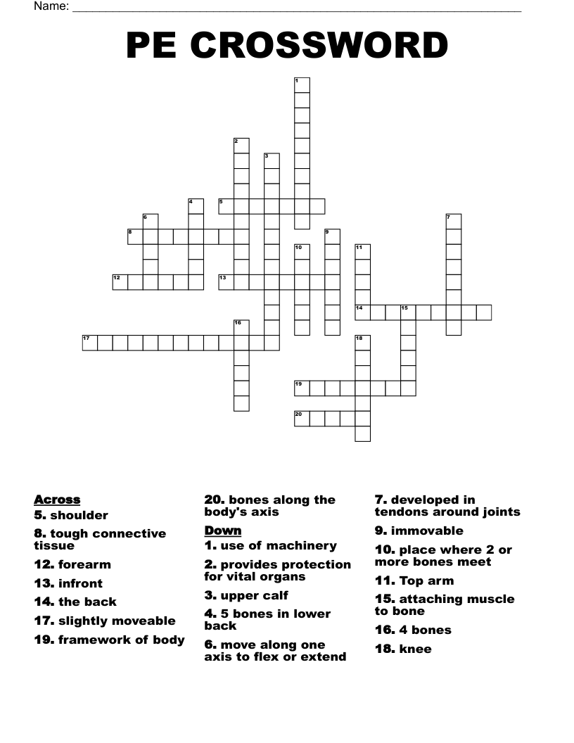 PE CROSSWORD WordMint