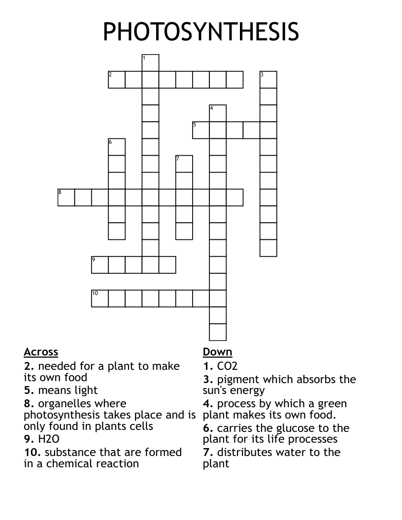PHOTOSYNTHESIS Crossword WordMint