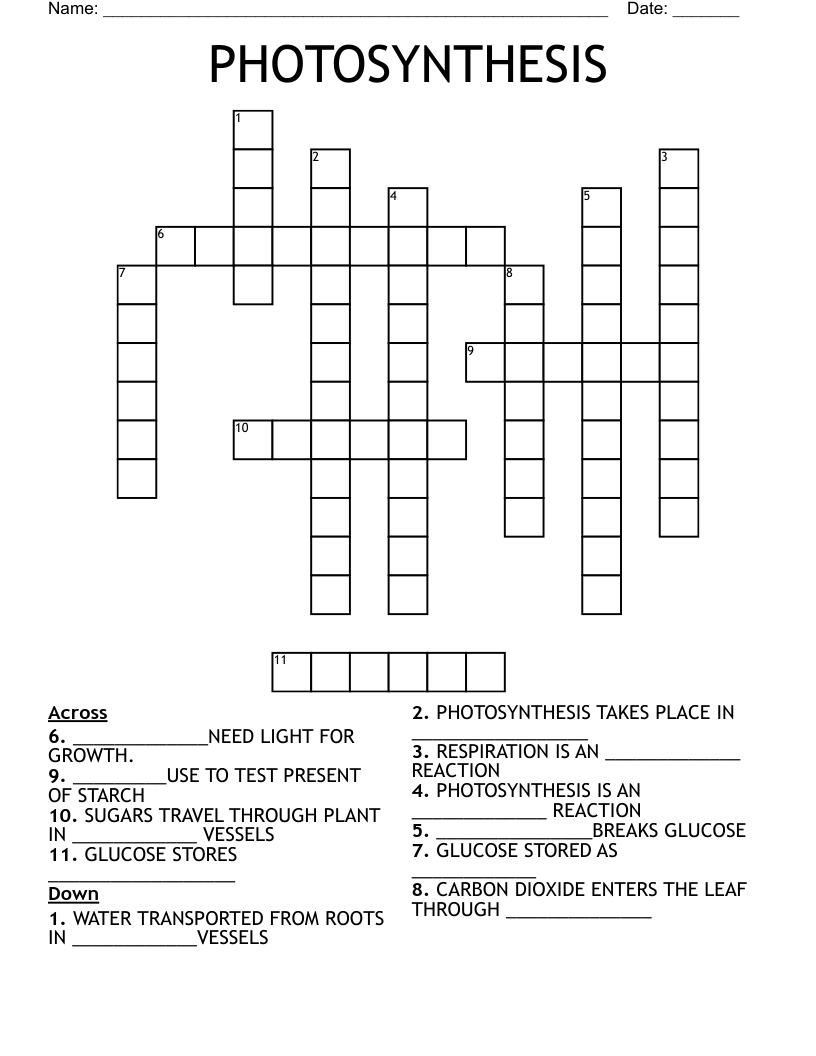PHOTOSYNTHESIS Crossword WordMint