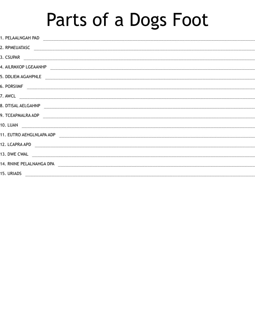Parts of a Dogs Foot Word Scramble