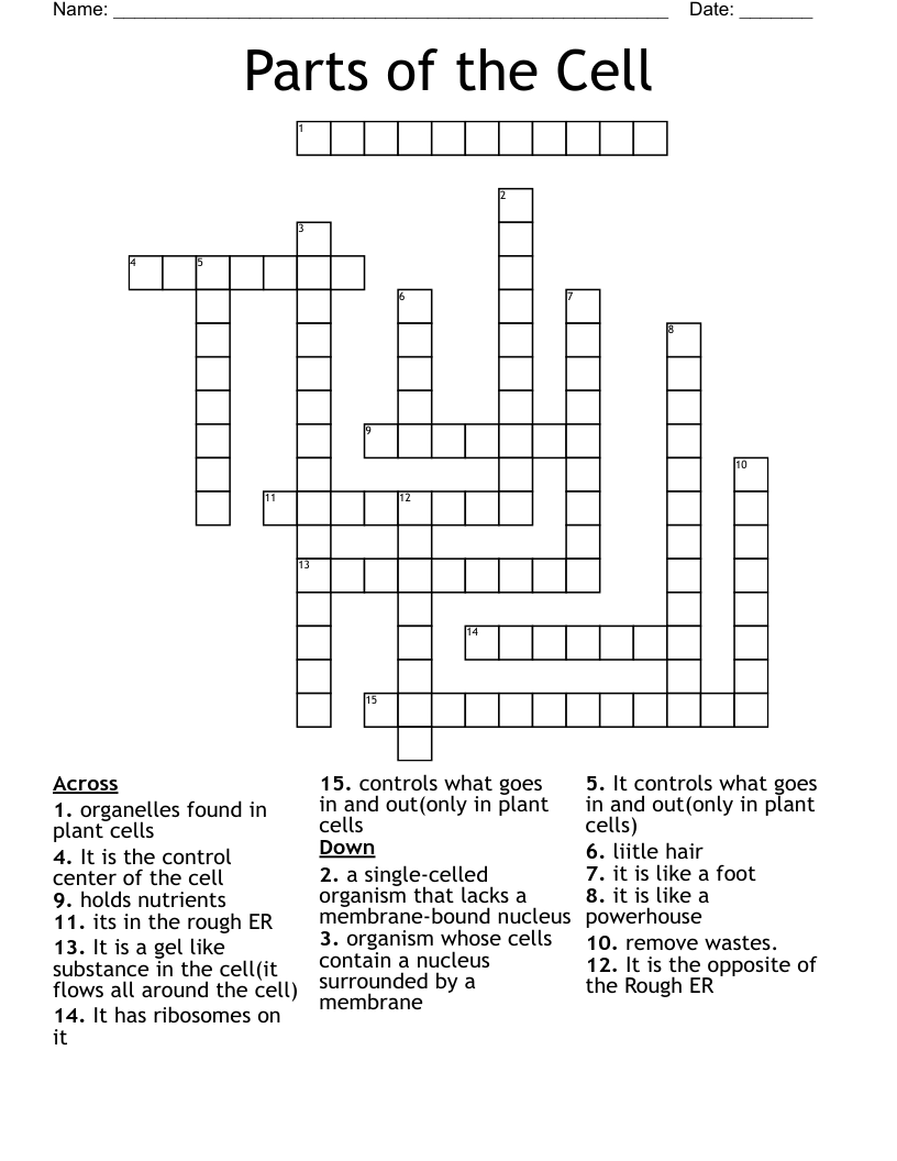 Parts of the Cell Crossword
