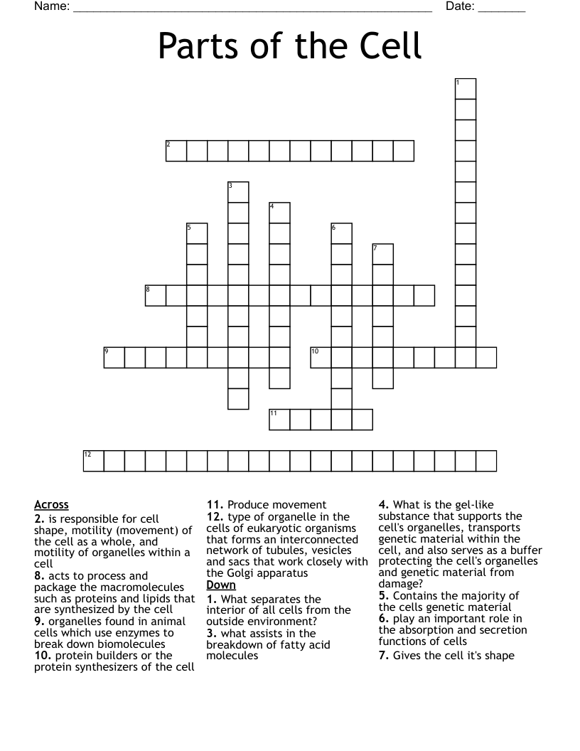 Parts of the Cell Crossword