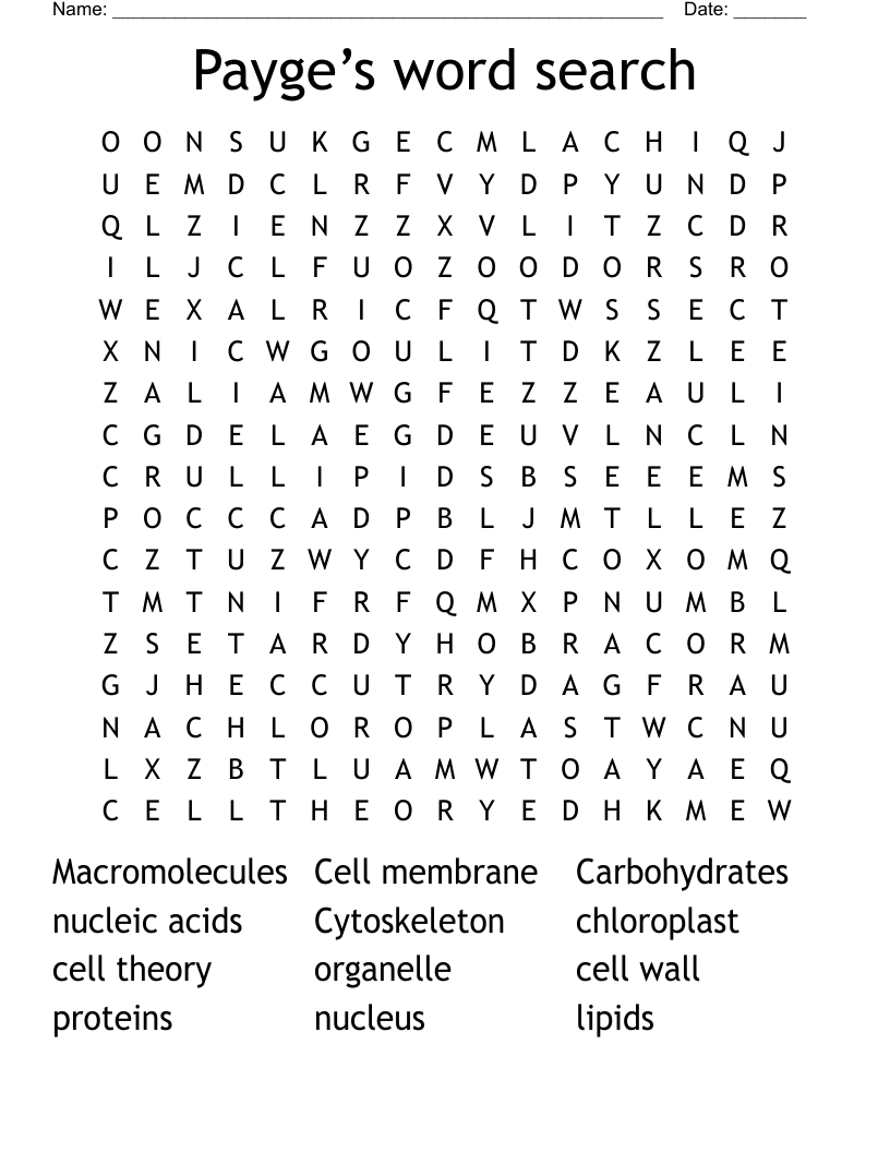 Payge’s word search 