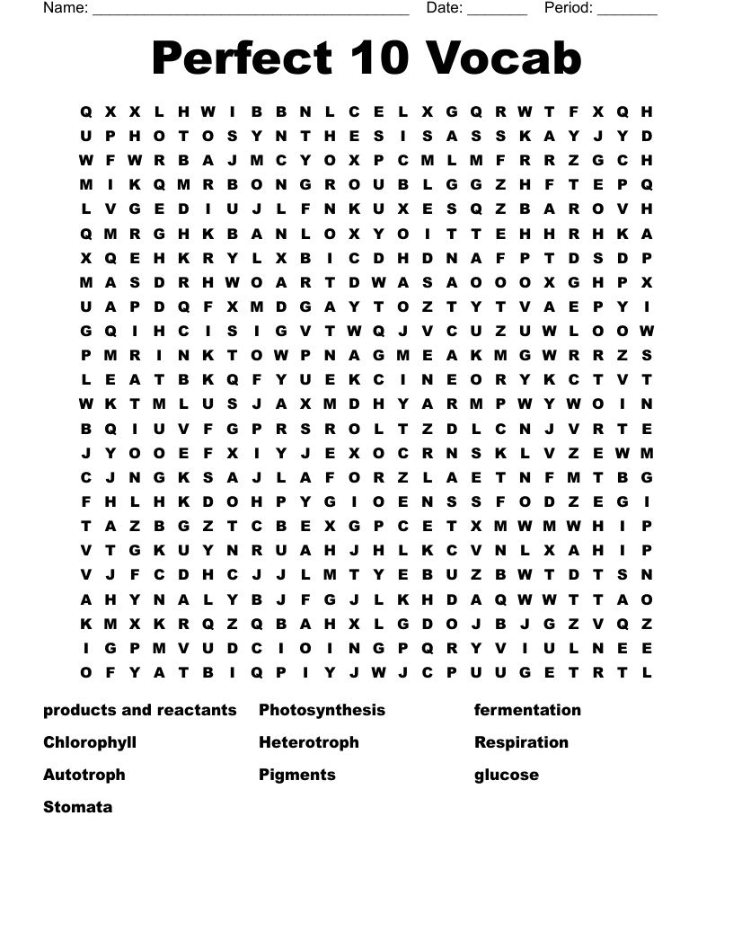Perfect 10 Vocab Word Search