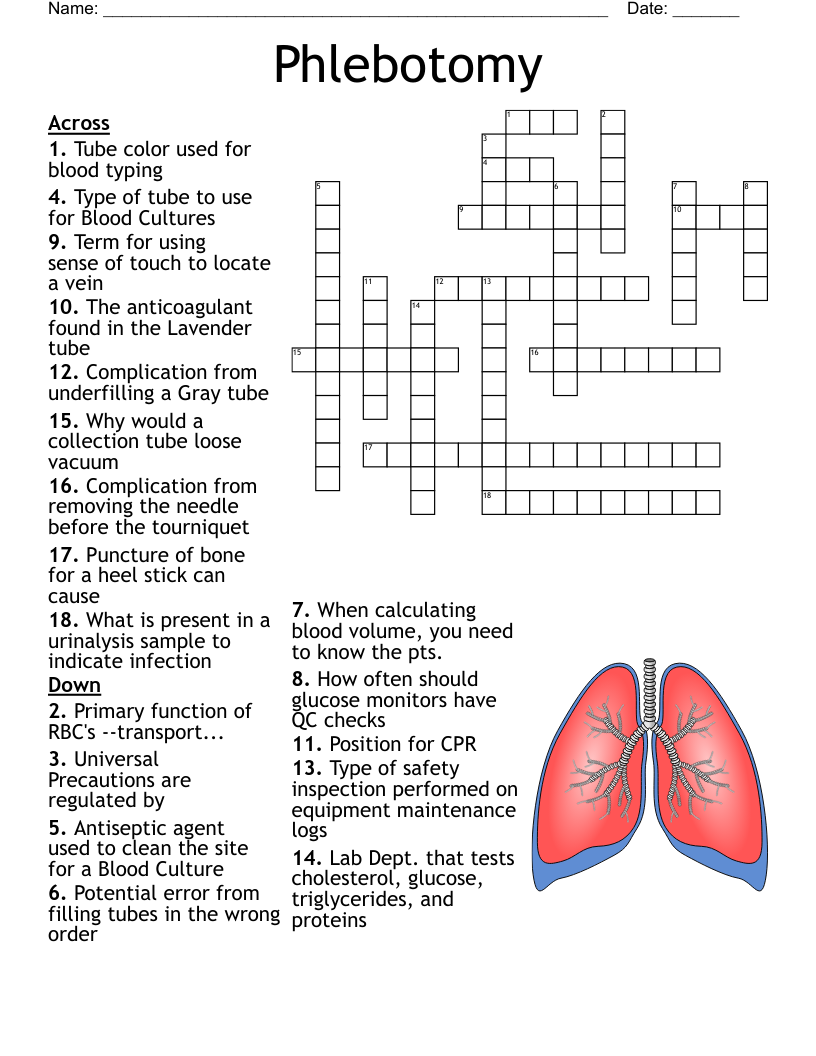Phlebotomy Worksheet - WordMint