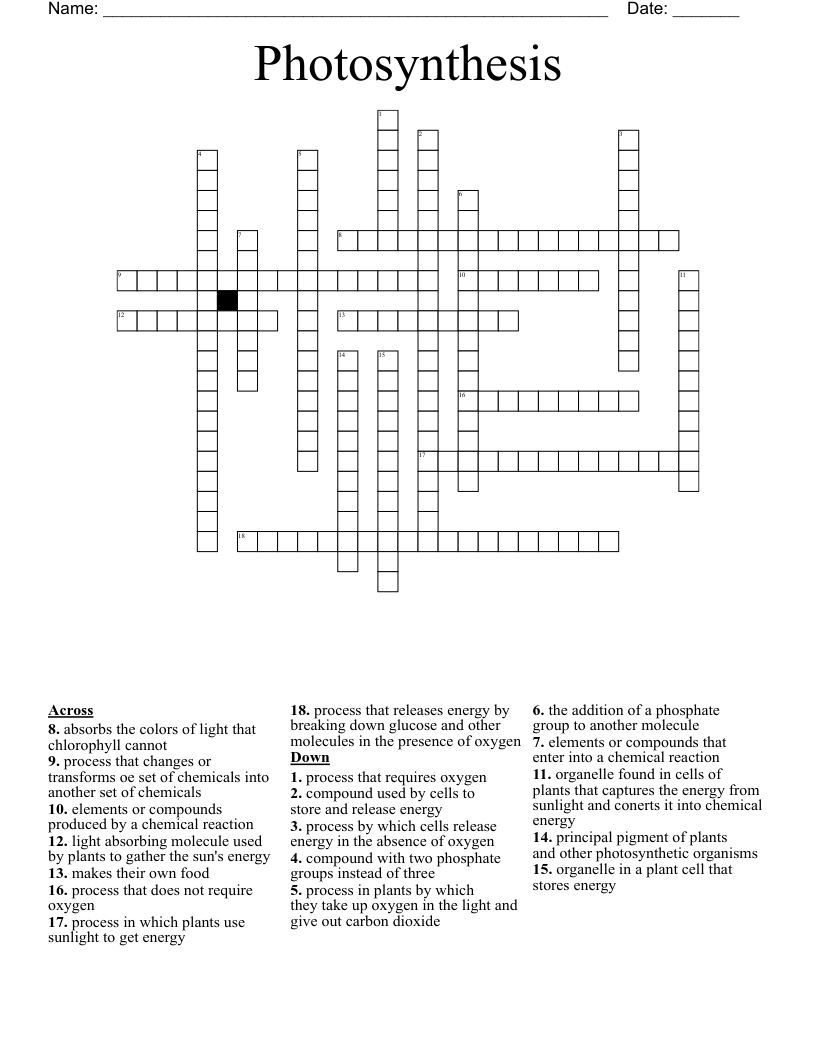 Photosynthesis Crossword WordMint