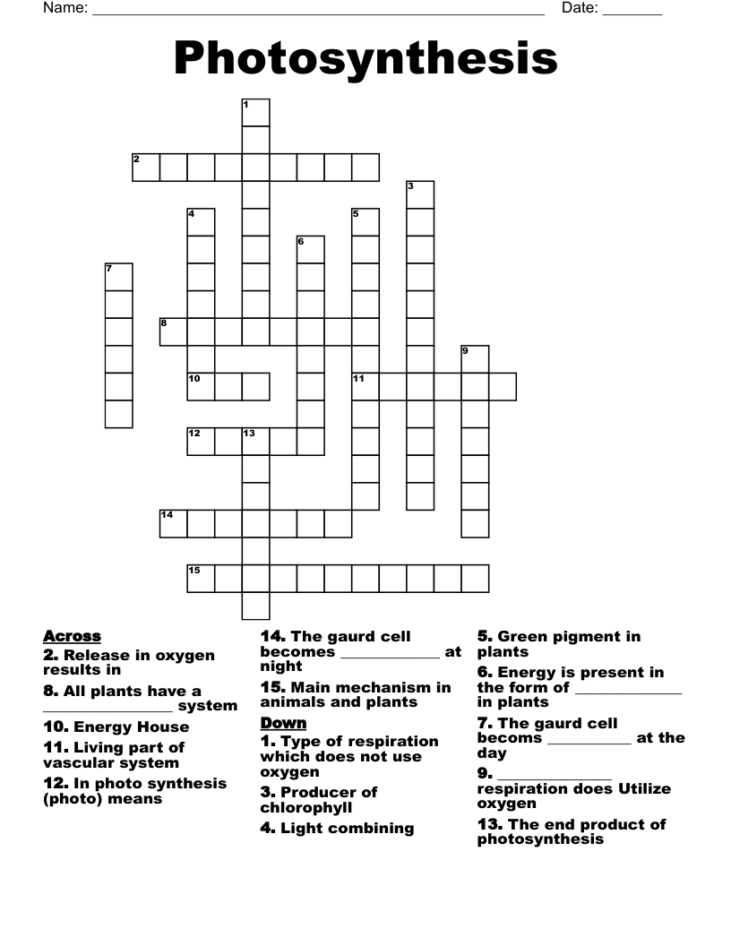 Photosynthesis Crossword Puzzle