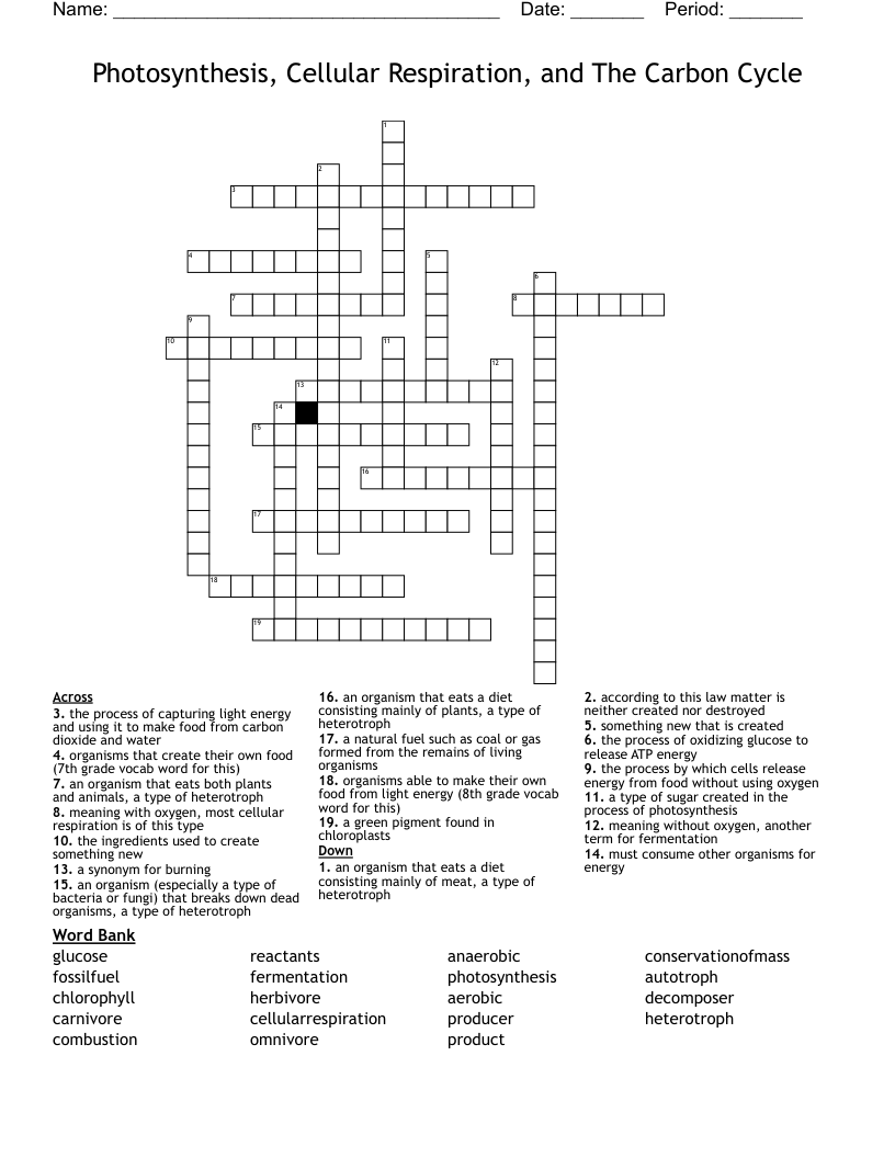 Photosynthesis Cellular Respiration And The Carbon Cycle Crossword 